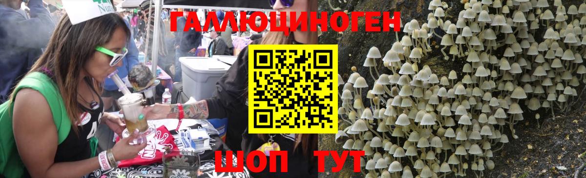 Псилоцибиновые грибы Psilocybine cubensis  Вход с VPN  Анапа 
